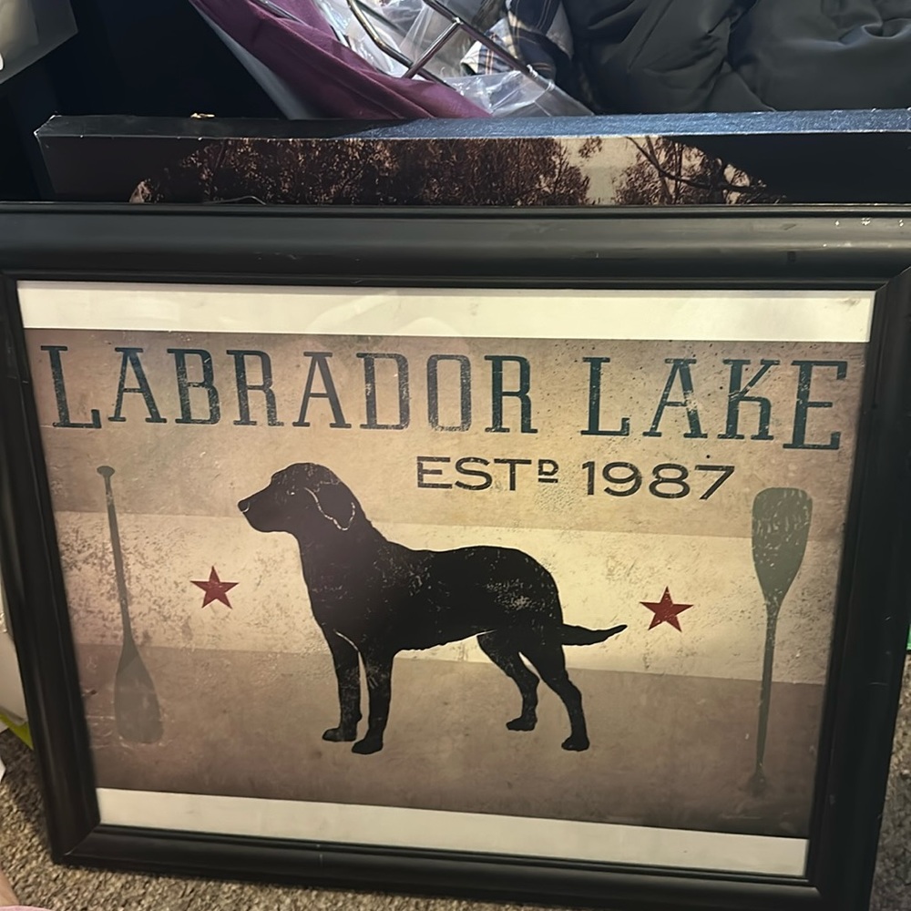Sierra Pacific Crafts Labrador Lake Wall Art Framed